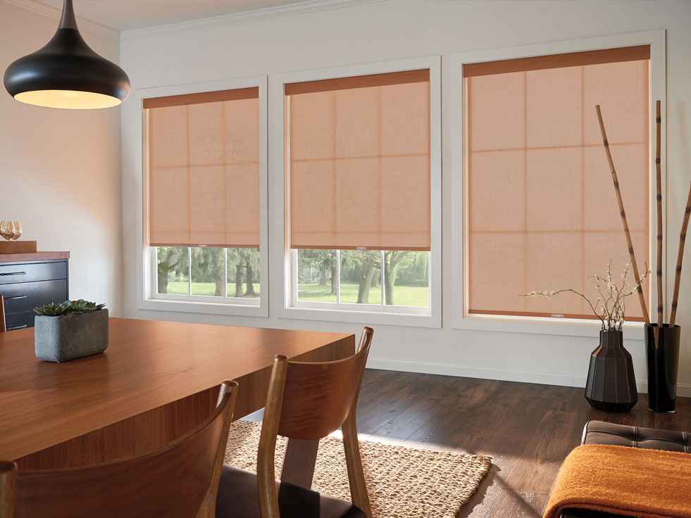 window blinds and shades